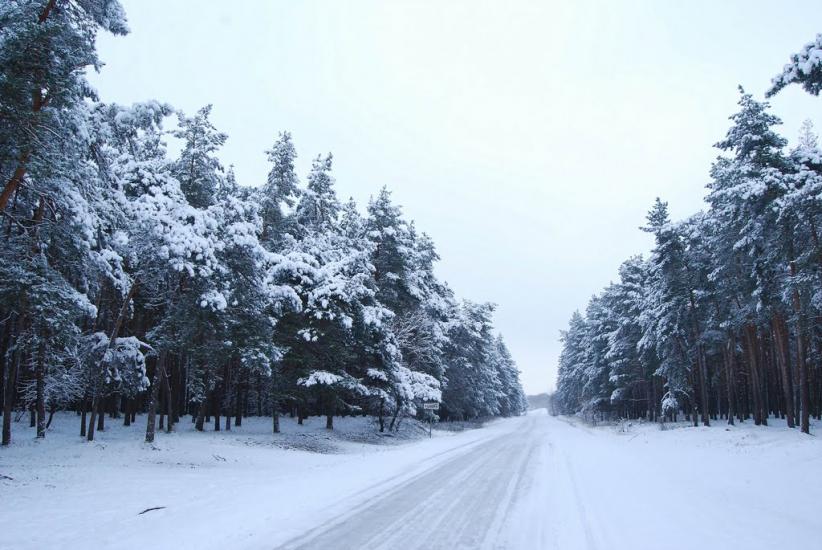 Хорішки з panoramio.com - Хорішки