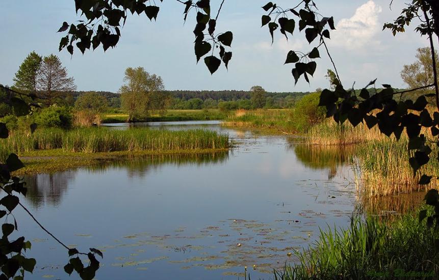 Рівне з panoramio.com - Рівне