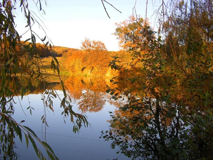 Верхній Коропець з panoramio.com - Верхній Коропець