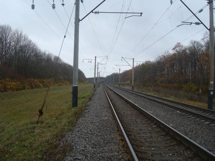 Трительники з panoramio.com - Трительники