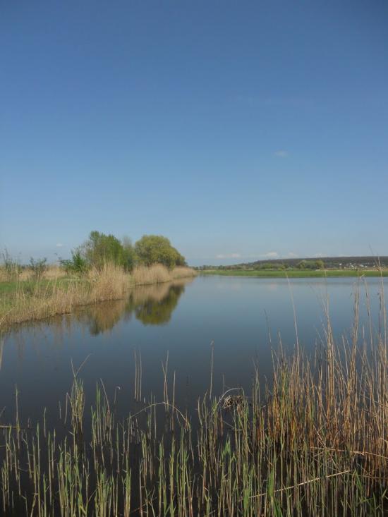 Карнаухівка з panoramio.com - Карнаухівка