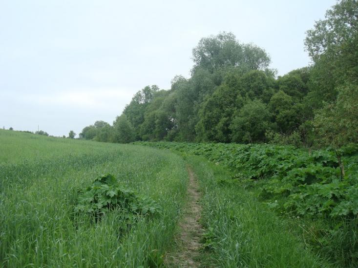Мацьківці з panoramio.com - Мацьковцы