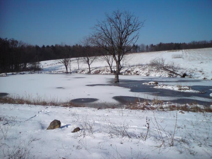 Кобалевиця з panoramio.com - Кобалевиця