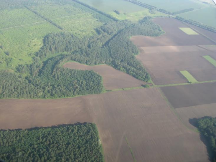Крюківщина з panoramio.com - Kryukivschyna