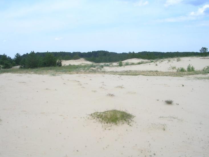 Саги з panoramio.com - Sagy