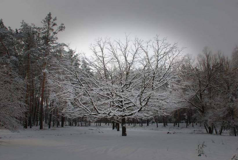Геронимівка з panoramio.com - Geronymivka