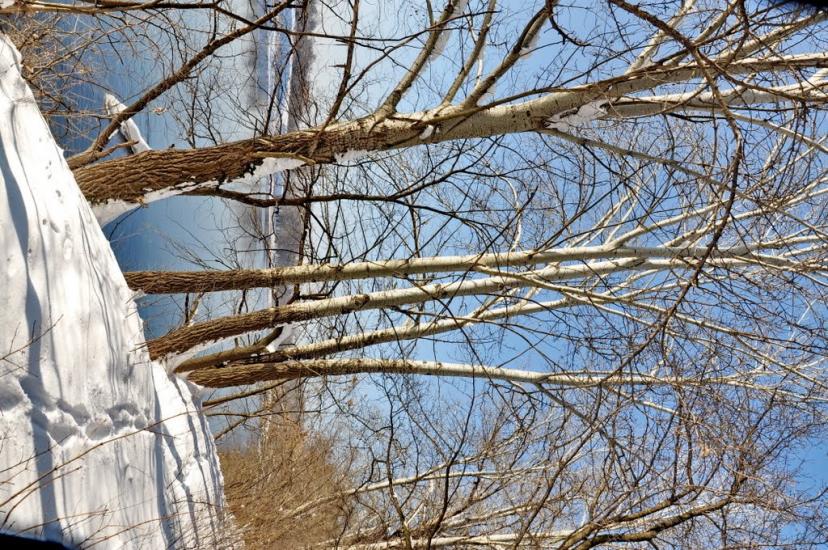 Привілля з panoramio.com - Приволье