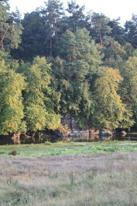 Городське з panoramio.com - Городское