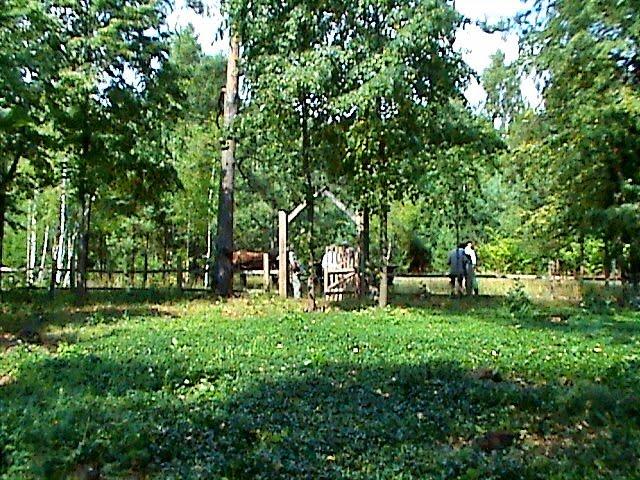 Вирка з panoramio.com - Вырка