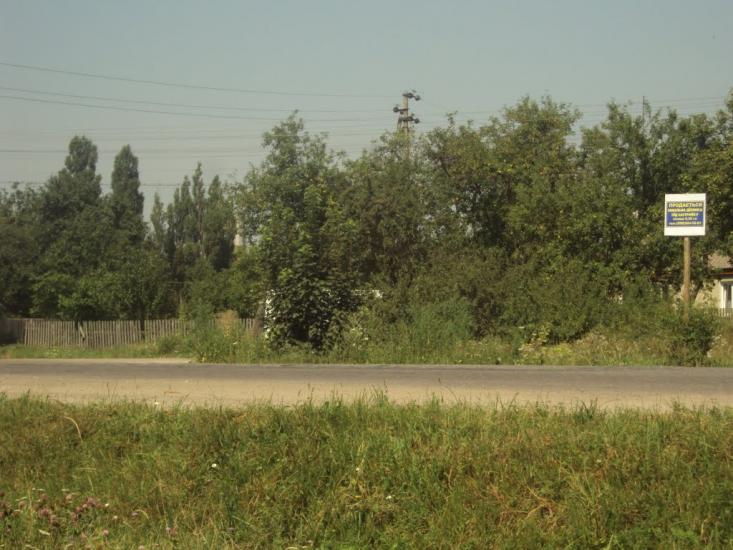 Стрижівка з panoramio.com - Стрижівка