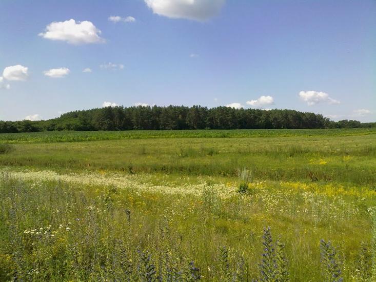 Халявин з panoramio.com - Халявин