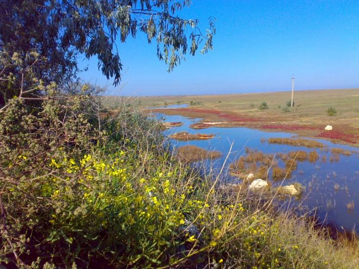 Жовтокам'янка з panoramio.com - Желтокаменка
