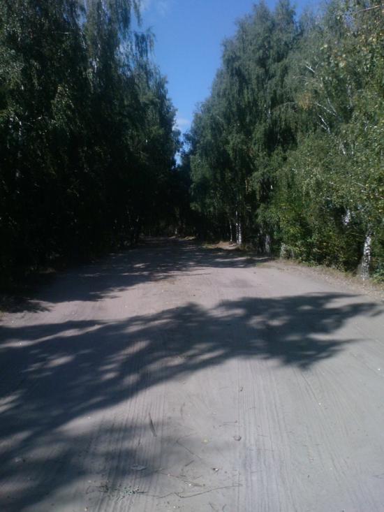 Вища Дубечня з panoramio.com - Высшая Дубечня