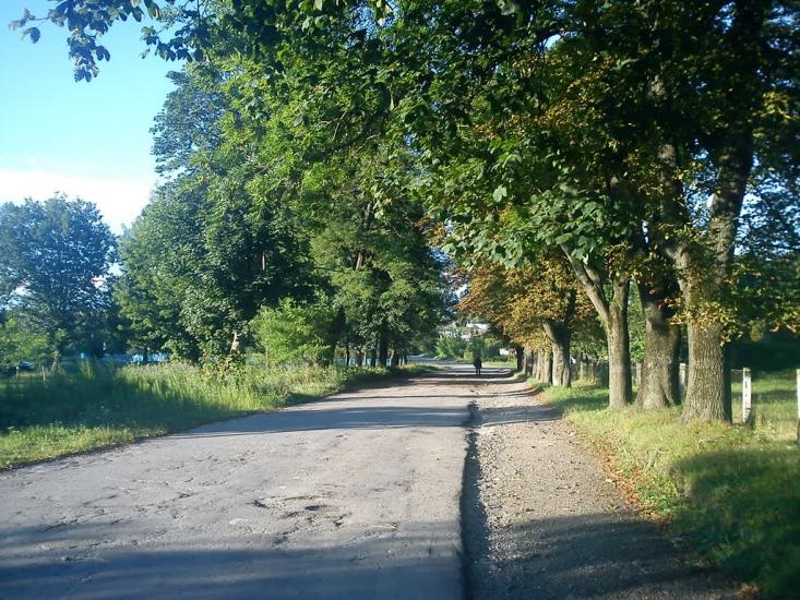 Мізоч з panoramio.com - Мізоч