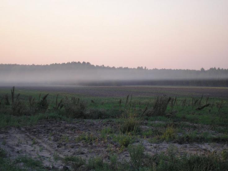Малютянка з panoramio.com - Малютянка