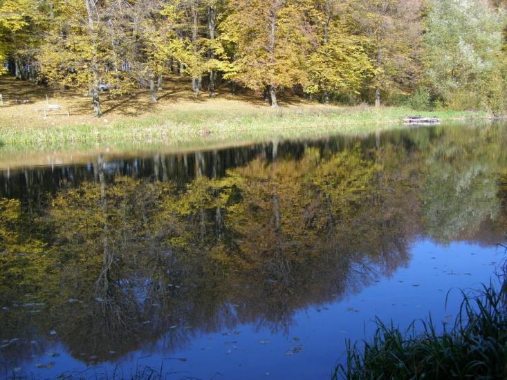 Віньківці з panoramio.com - Віньківці