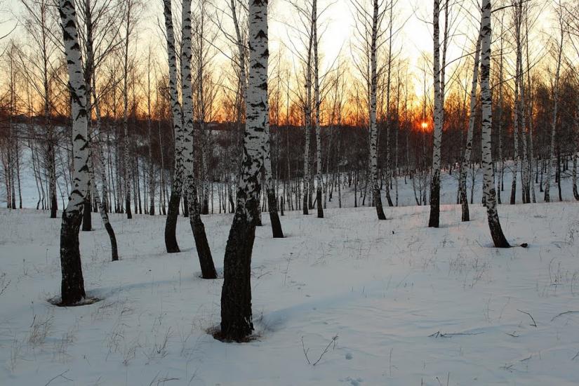 Черкаська Лозова з panoramio.com - Черкасская Лозовая