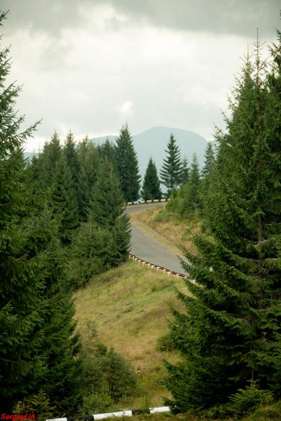Стригальня з panoramio.com - Стригальняя