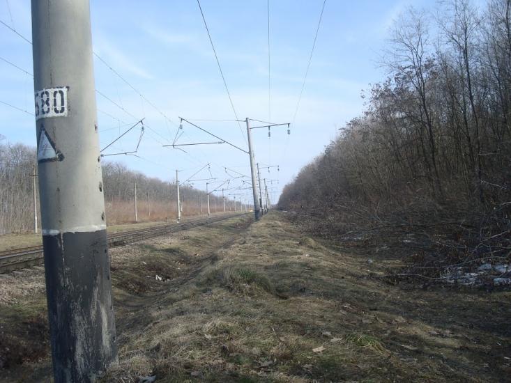 Радівці з panoramio.com - Radivtsi