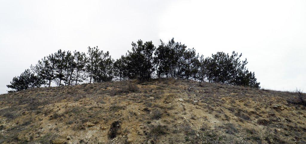 Некрасовка з panoramio.com - Некрасовка