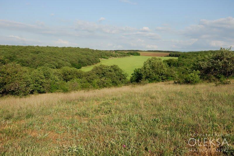 Вікторівка з panoramio.com - Викторовка