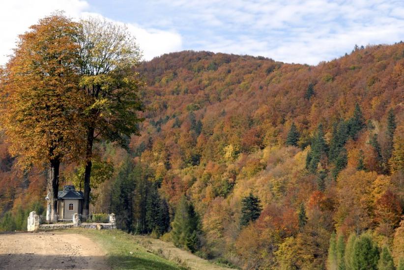 Рибник з panoramio.com - Rybnyk