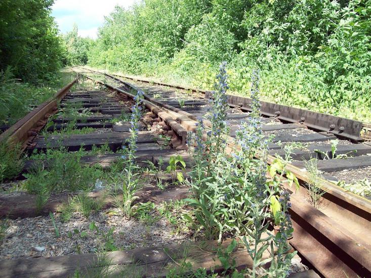 Бездрик з panoramio.com - Бездрик