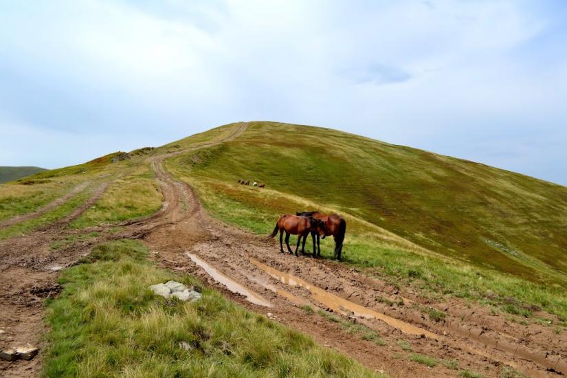 Руська Мокра з panoramio.com - Русская Мокрая