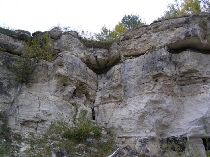 Віньківці з panoramio.com - Виньковцы
