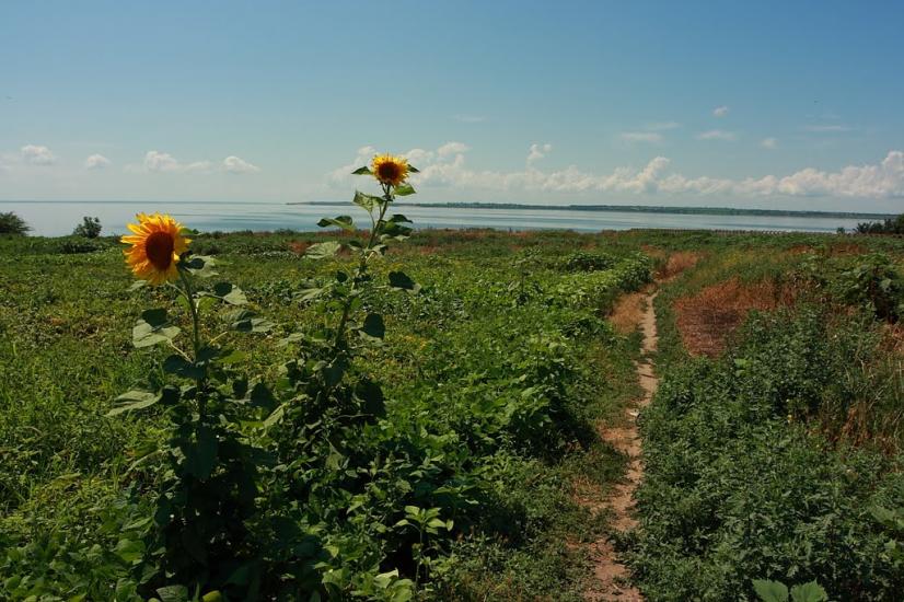 Менжинське з panoramio.com - Менжинское