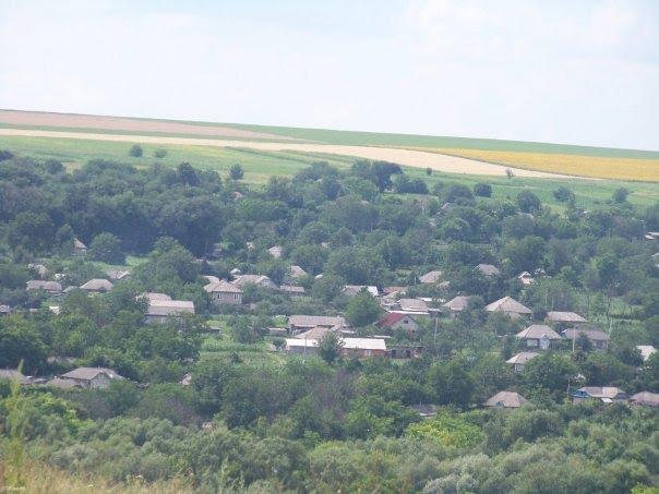 Подвір'ївка з panoramio.com - Подворьевка