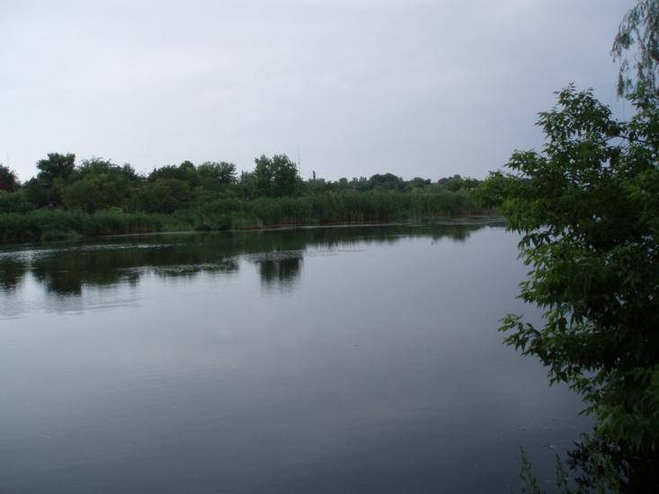 Комісарівка з panoramio.com - Комісарівка