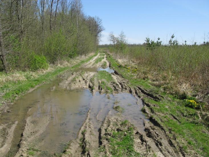 Антонівка з panoramio.com - Антонівка