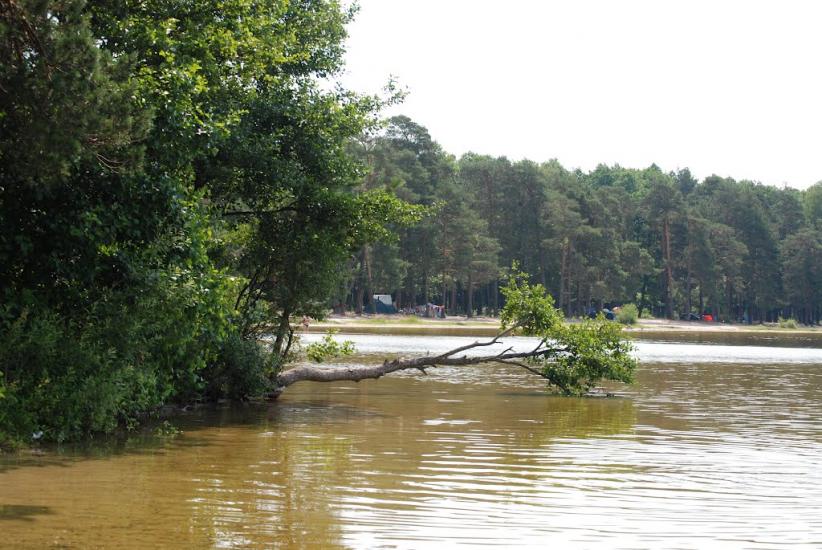 Рудка з panoramio.com - Рудка