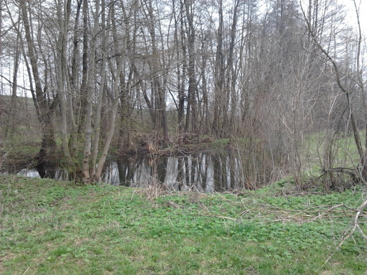 Рогачі з panoramio.com - Рогачи