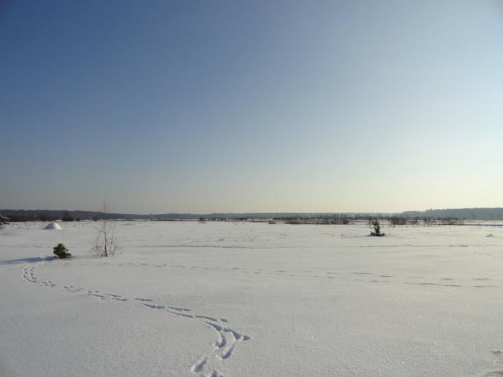 Бодячів з panoramio.com - Бодячев