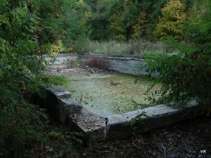 Зайченки з panoramio.com - Зайченки