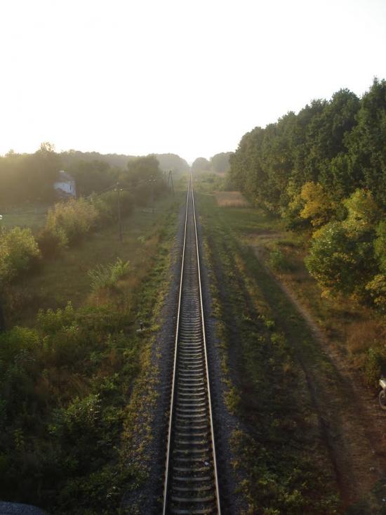 Щітки з panoramio.com - Щитки