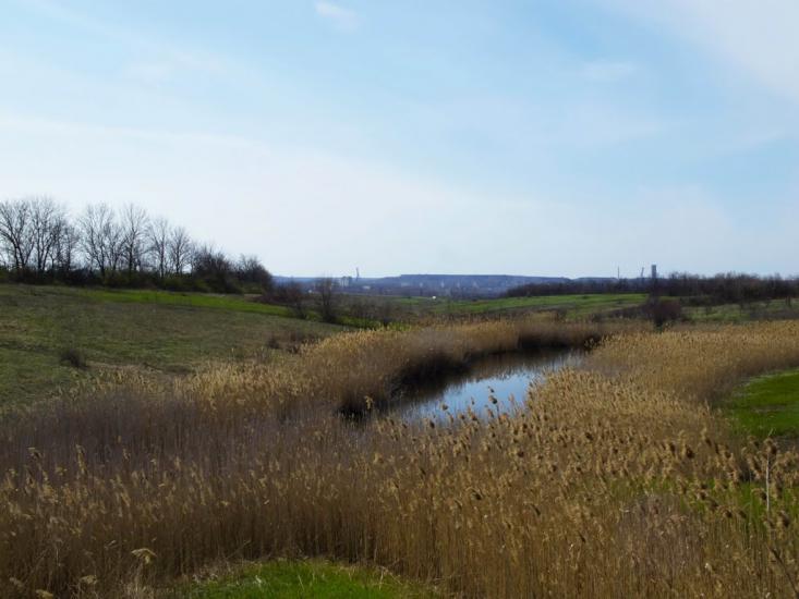 Новомайське з panoramio.com - Новомайское