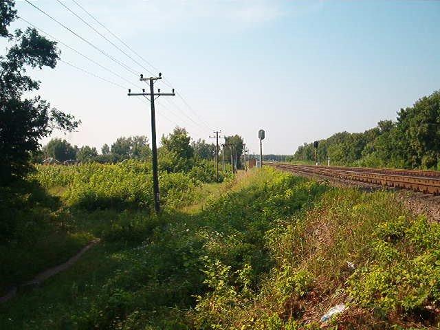 Бездрик з panoramio.com - Бездрик