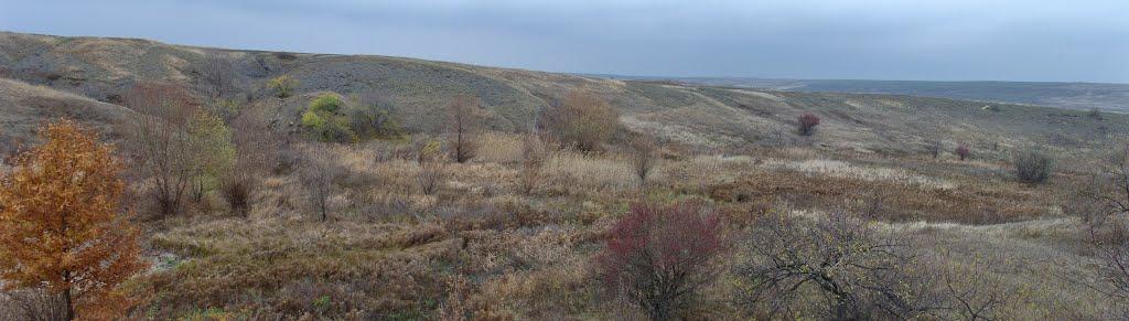 Лобанівка з panoramio.com - Лобановка