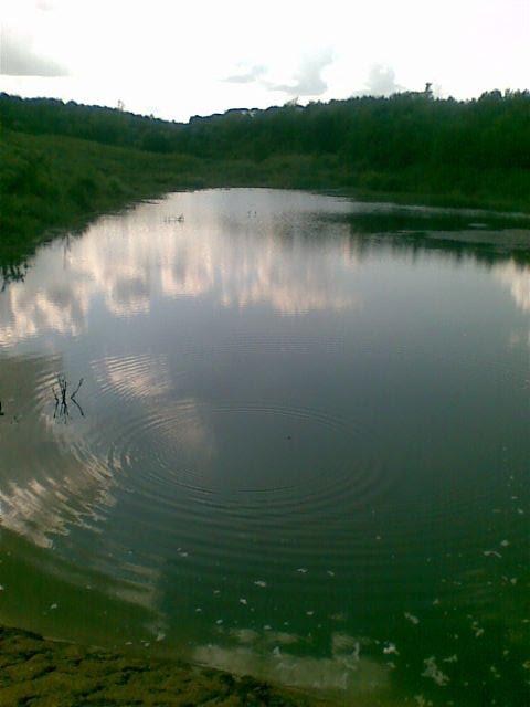 Шеметове з panoramio.com - Шеметове