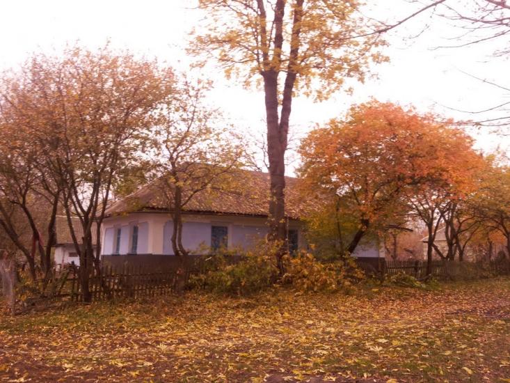 Ріпна з panoramio.com - Ріпна