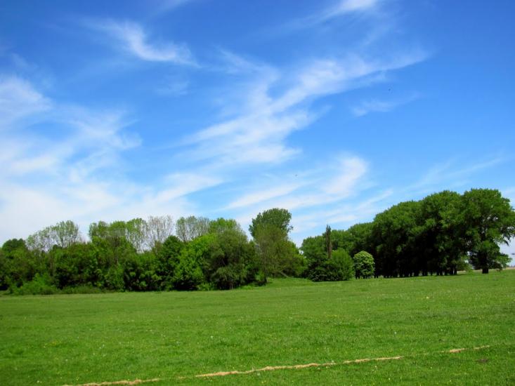 Сокіл з panoramio.com - Сокол