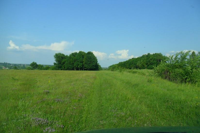 Їжівці з panoramio.com - Иживцы