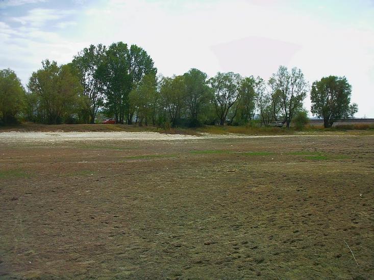 Дачне з panoramio.com - Дачное