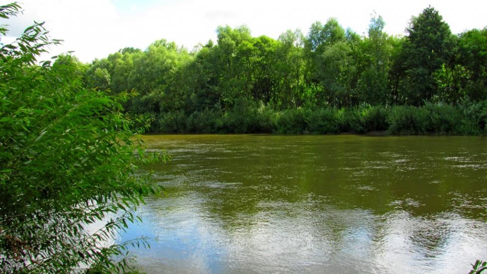 Кураш з panoramio.com - Кураш