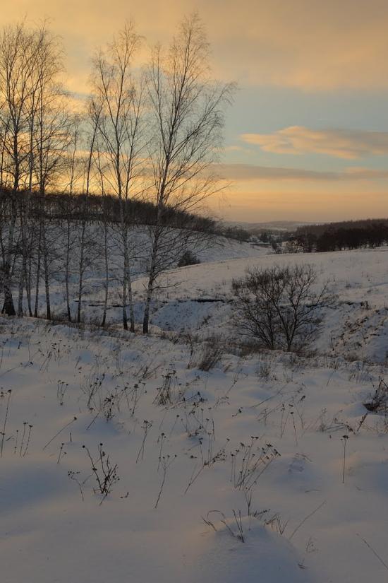Черкаська Лозова з panoramio.com - Черкасская Лозовая