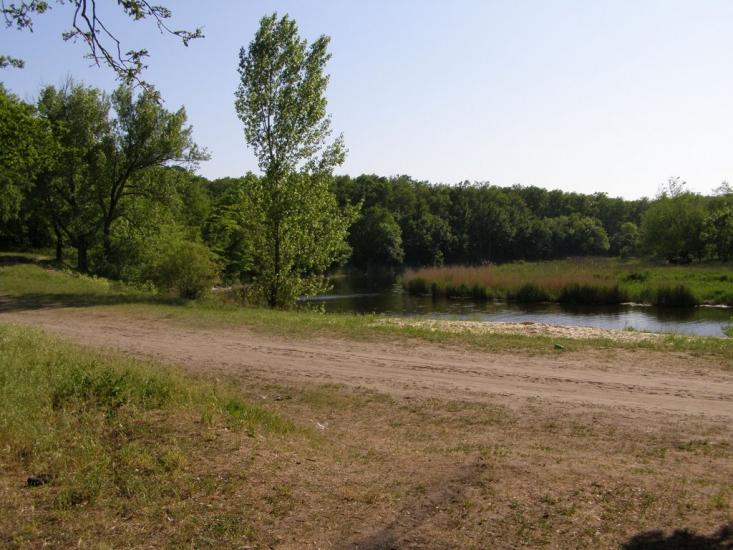 Новопилипівка з panoramio.com - Новопилиповка