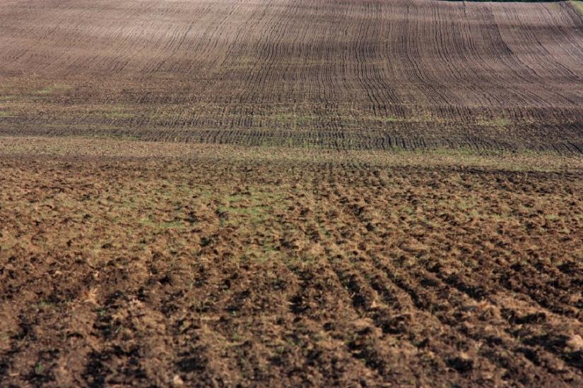 Ушня з panoramio.com - Ушня